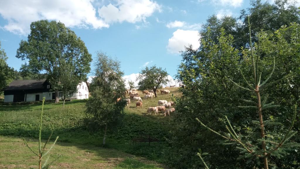 Penzion Liberta Horní Maršov Exterior foto